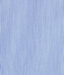 "Beacon" - Women's Blue Micro Check: No Sweat