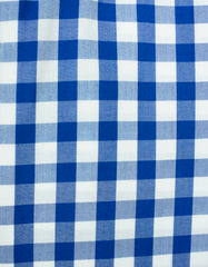 "Kirby" - Blue & White Check: NO SWEAT